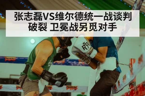 张志磊VS维尔德统一战谈判破裂 卫冕战另觅对手