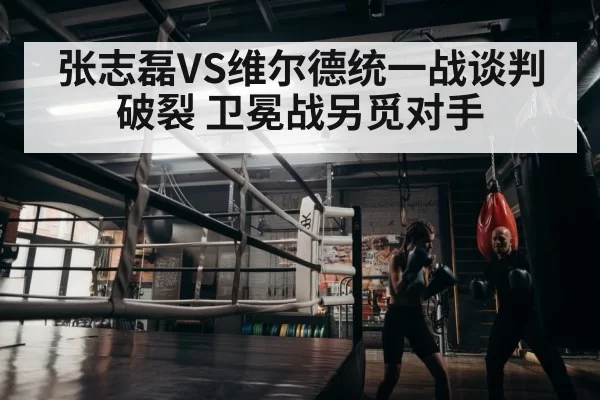 boxer training