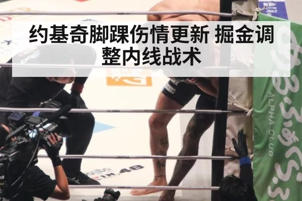 约基奇脚踝伤情更新 掘金调整内线战术